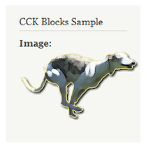ccblocksample