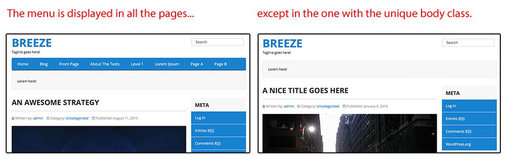 Hide Elements with CSS
