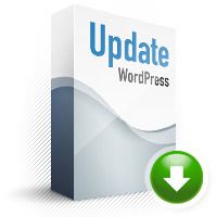 wordpress update