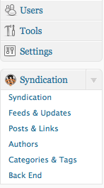 WP RSS Import