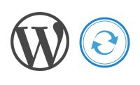 wp-automatic-updates